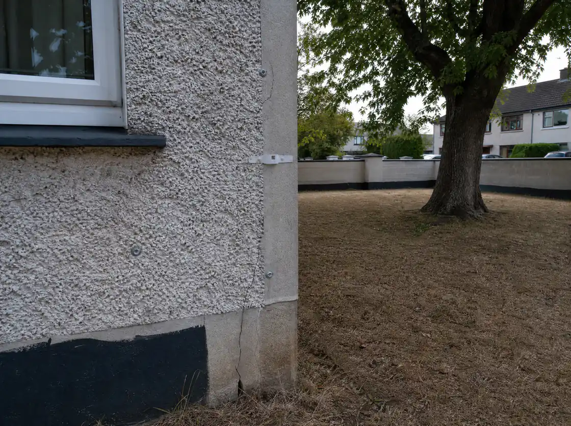 Corner of a pebbledash Dublin house beside a mature tree, the setting where clay shrinkage subsidence is investigated