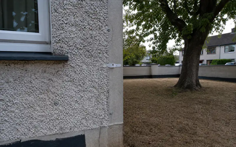 Corner of a pebbledash Dublin house beside a mature tree, the setting where clay shrinkage subsidence is investigated